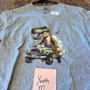 Gray Dinosaur Graphic T-Shirt
